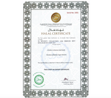 Load image into Gallery viewer, PINK PURPLE - DIVINITY COLLECTION PERMEABLE HALAL NAIL POLISH

